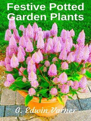 cover image of Festive Potted Garden Plants